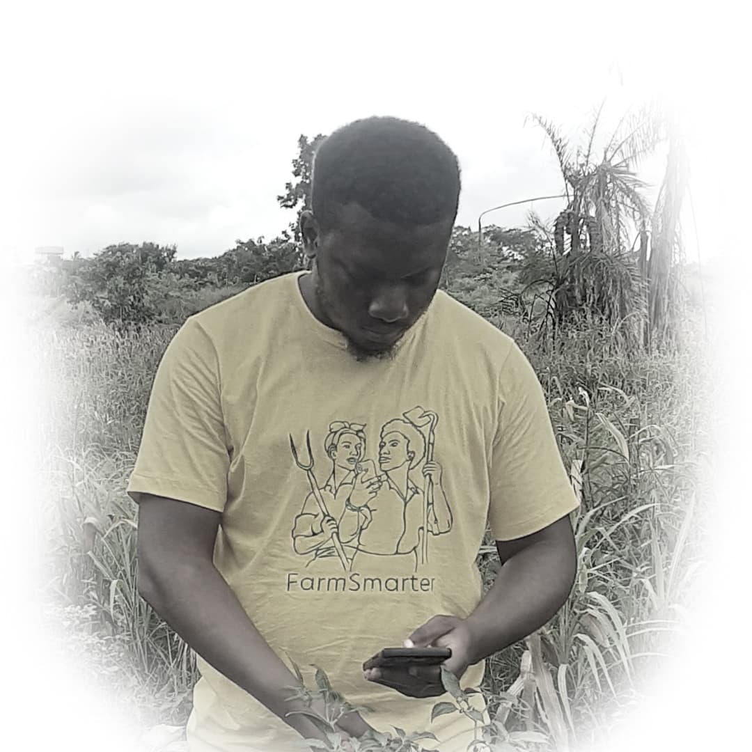 Damilola Paul Damilola Paul